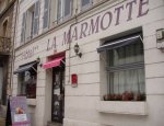 HOTEL DE LA MARMOTTE Niort
