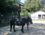 Photo LES PONEYS DU VAL D'EMERAUDE