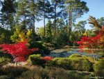 ARBORETUM DES GRANDES BRUYERES 45450