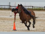 Photo DOMAINE EQUESTRE DE LA BONDE
