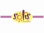 SOLIS IMMOBILIER 16100