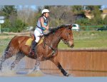 Photo ECURIES LE CLOS D'ALICE