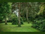 CHATEAU DE PRAVINS SARL 69460