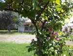 HOTEL LES JARDINS DU FOREZ Montrond-les-Bains