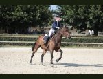 CENTRE EQUESTRE PONEY-CLUB DE VAISON 84110
