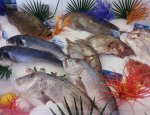 Photo POISSONNERIE CHEZ LAURENT / FINE YACHT PROVISIONS