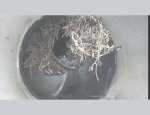 Photo HELP DÉBOUCHAGE