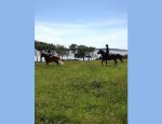 Photo CENTRE EQUESTRE DE BILLIERS