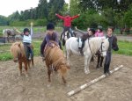CENTRE EQUESTRE DE CURLY Cabannes
