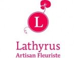LATHYRUS 33700