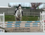 Photo HAC EQUITATION