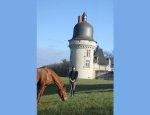 CENTRE EQUESTRE DU GUE PEAN 41400
