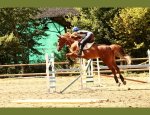 Photo CENTRE EQUESTRE DU GUE PEAN