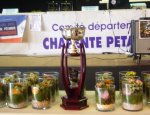 Photo COMITE DE PETANQUE ET DE JEU PROVENCAL CHARENTE
