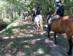 PONEY CLUB DES DEUX POTEAUX 33700