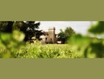 CHATEAU TOUR BICHEAU 33640