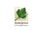AUBEPINE 35000