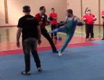 SAVATE EURE BOXE FRANÇAISE 27750