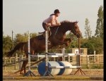 Photo CENTRE EQUESTRE LE MARAIS EN SELLE