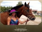 CENTRE EQUESTRE ET PONEY CLUB DE PORNIC Pornic