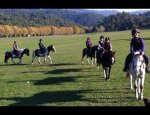 Photo CENTRE EQUESTRE DES TEMPLIERS
