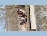 Photo HARAS DE CHEVAL EVASION