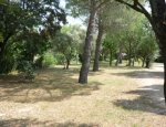 Photo CAMPING L'OLIVIER