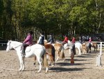 PONEY-CLUB LA PETITE CAVALERIE 78510