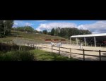 CENTRE EQUESTRE DE ST MARTIN DE SEIGNANX Saint-Martin-de-Seignanx
