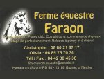 ECURIE DU FARAON Gignac-la-Nerthe