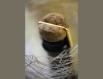 CHAMPAGNE HENRI GIRAUD 51160