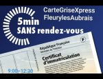 CARTE GRISE XPRESS 45400