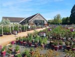 45170 Chilleurs-aux-Bois