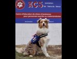 LES CHIENS DU SILENCE 65140