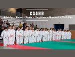 CSAHR (COMITÉ SPORTIF ET ARTISTIQUE DES HAUTS DE RUEIL) 92500