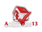 ACTIVE DIAG13 13100