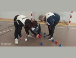 COMITE DEPARTEMENTAL HANDISPORT 17 La Rochelle