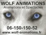 WOLF ANIMATIONS Sommecaise