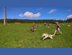 Photo NEIGE ET PLEIN AIR - COLONIES DE VACANCES