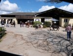 Photo CENTRE EQUESTRE DE BILAIRE