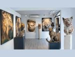 GALERIE D'ART SYLVIE PLATINI 74290