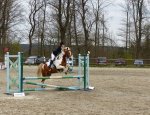 Photo PONEY CLUB DE LA SAPINIERE
