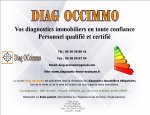 DIAG OCCIMMO 31140