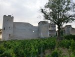 LES AMIS DU CHATEAU DE DRUYES 89560