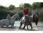 Photo FERME EQUESTRE LA SERVIE