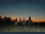 FERME EQUESTRE LA SERVIE Belfort-du-Quercy