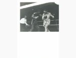 SAINT GENIS LAVAL BOXE 69230