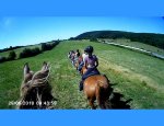 Photo CHEVAL BUGEY