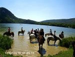Photo CHEVAL BUGEY