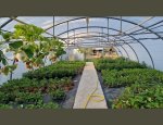 LES JARDINS DE CLAUDE ALAIN 34820